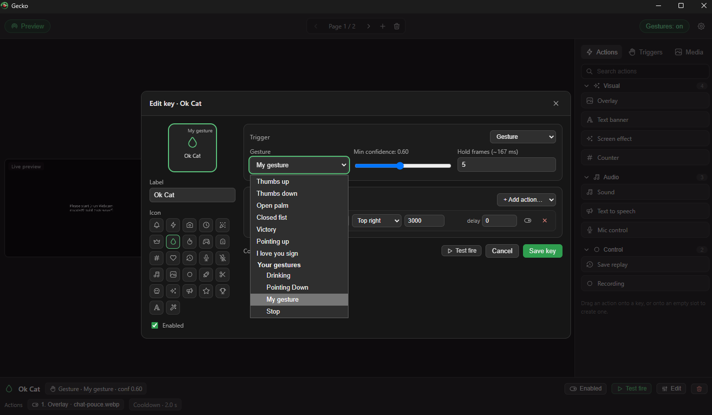 Gesture picker listing built-in gestures and your own custom gestures